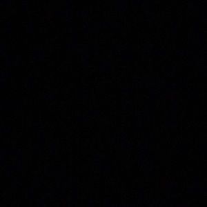 Meet your Posher, Evelyn